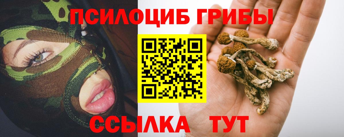 Псилоцибиновые грибы Magic Shrooms Магадан