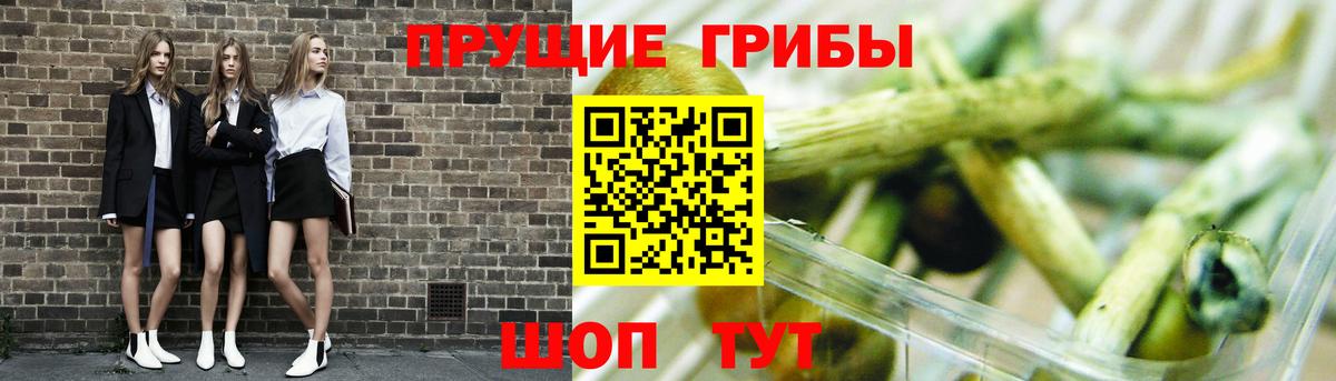 Магадан  Галлюциногенные грибы Magic Shrooms  Вход с VPN 
